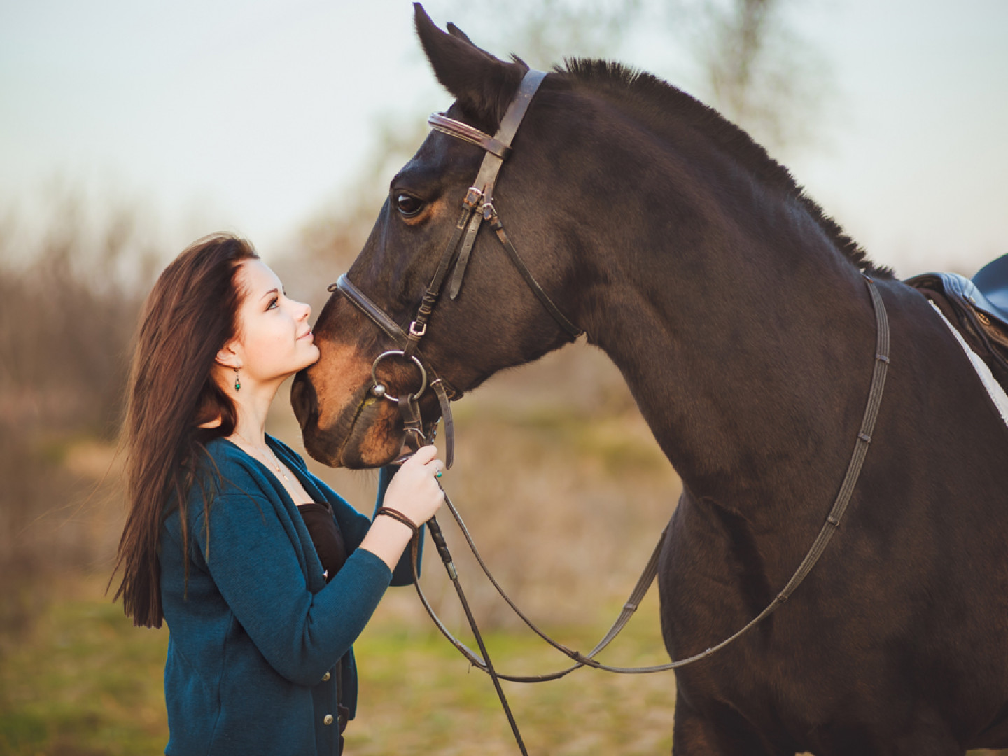 Equine Services Twin Falls, ID Veterinary Clinic Twin Falls Idaho